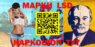 индика Гусев