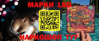 индика Гусев