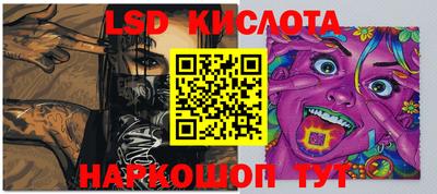 индика Гусев