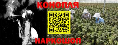 индика Гусев