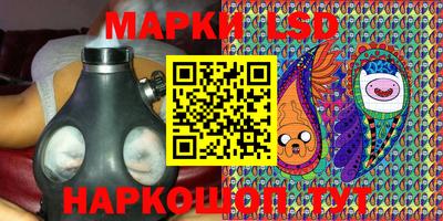 индика Гусев