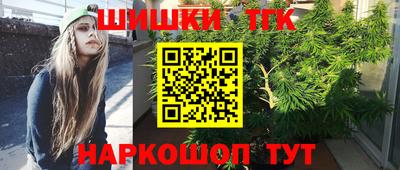 индика Гусев