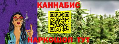 индика Гусев