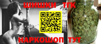 индика Гусев