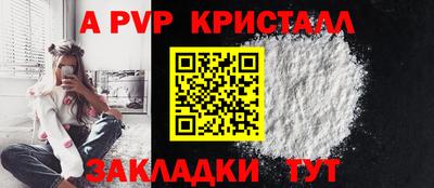 индика Гусев