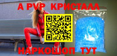 индика Гусев