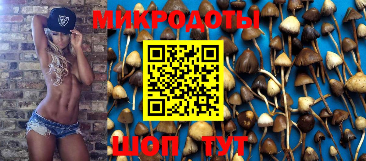 Псилоцибиновые грибы прущие грибы Магнитогорск